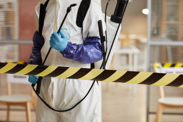 Professional Hoarding Cleanup technician working in Albion, NE